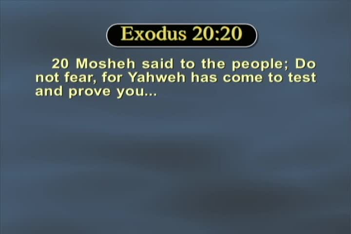 Thumbnail image for Prophetic word #M362