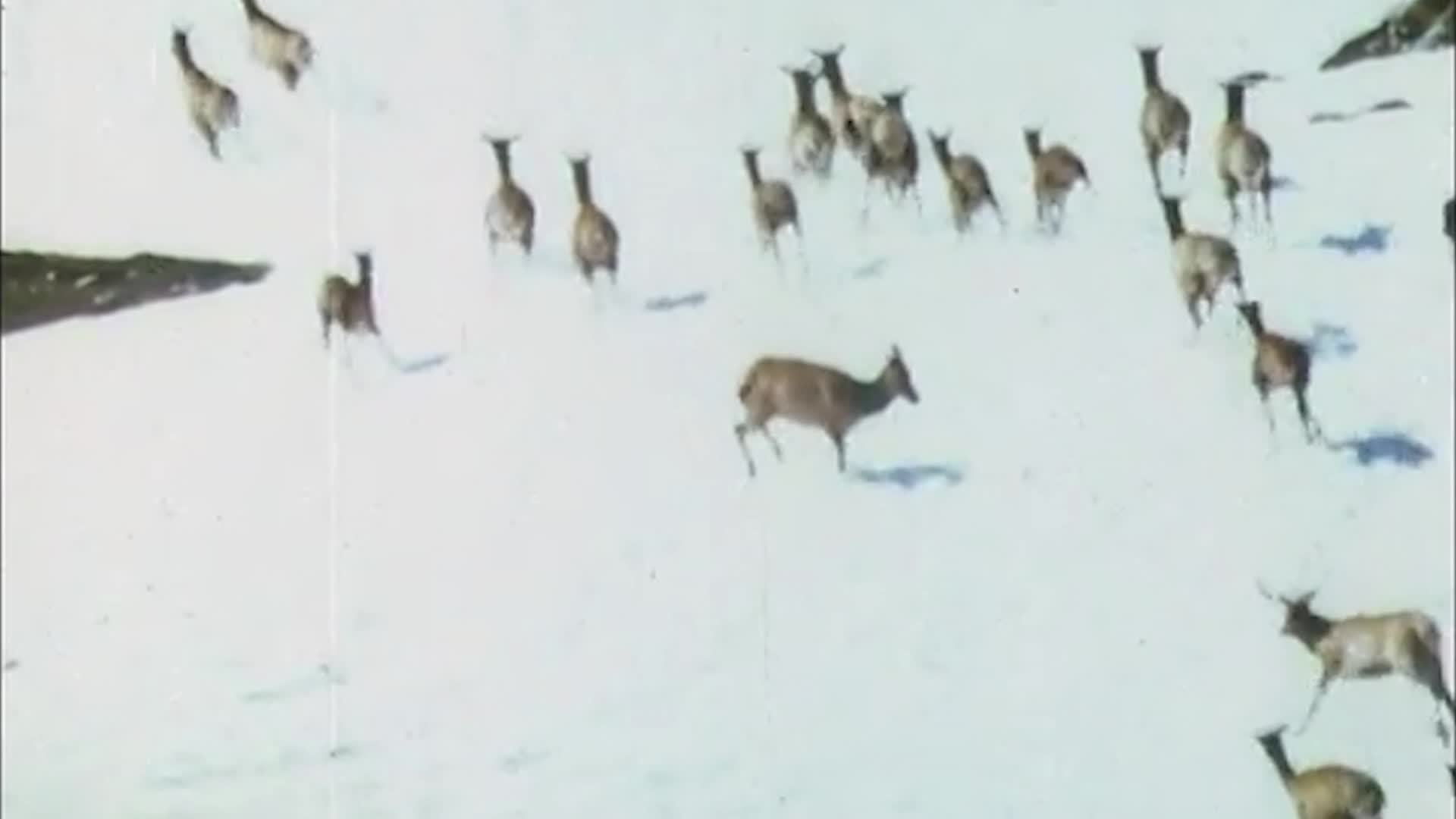 Thumbnail image for Perspectives - Law Enforcement